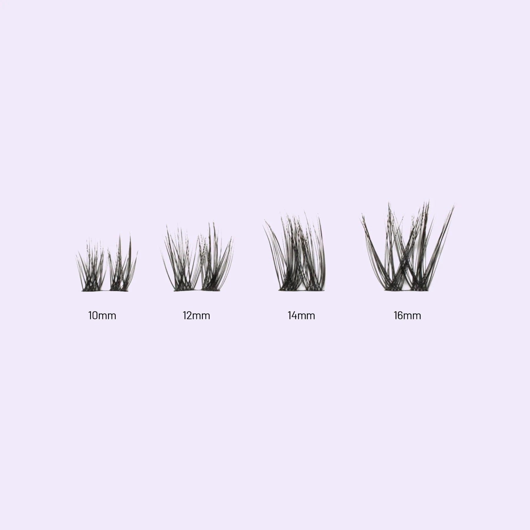 Feather - Image 6
